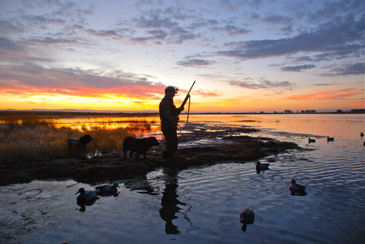   Фото: Istockphoto/ правообладатель gnatoutdoors