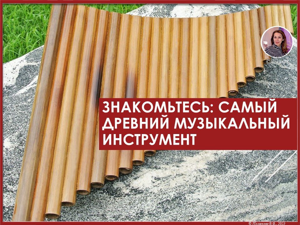 © Полшкова В.В., 2023