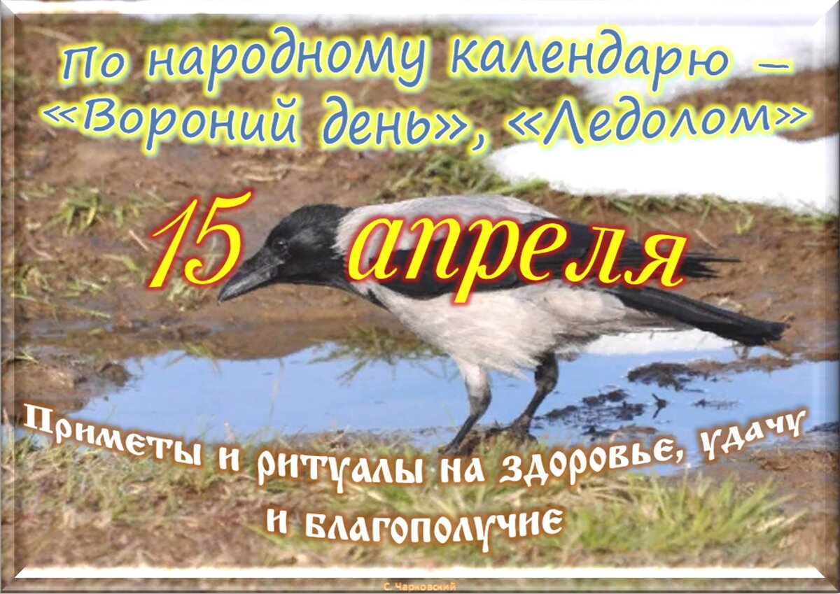 Какой праздник 15 апреля в россии. 15 Апреля 2023 праздник. 15 Апреля лунный день. 15 Апреля праздник. Праздники сегодня 15 апреля.