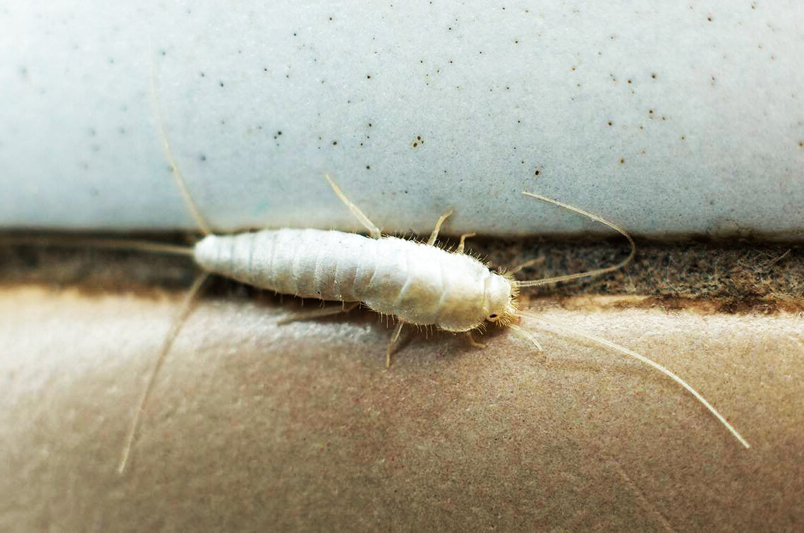 фотография взята из открытых источников