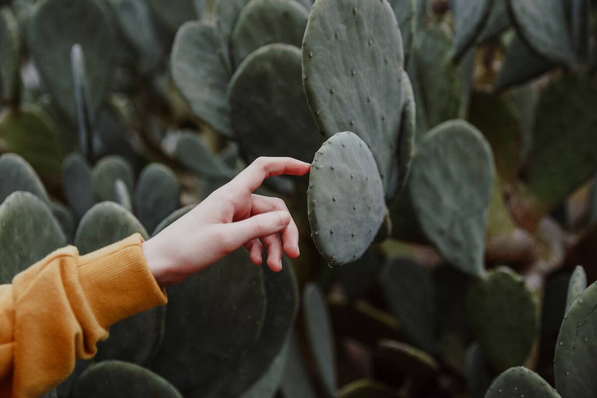 Фото с бесплатного фотоистока https://unsplash.com, автор Anita Austvika