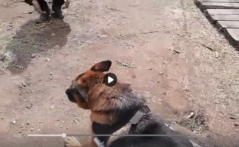 МУХА