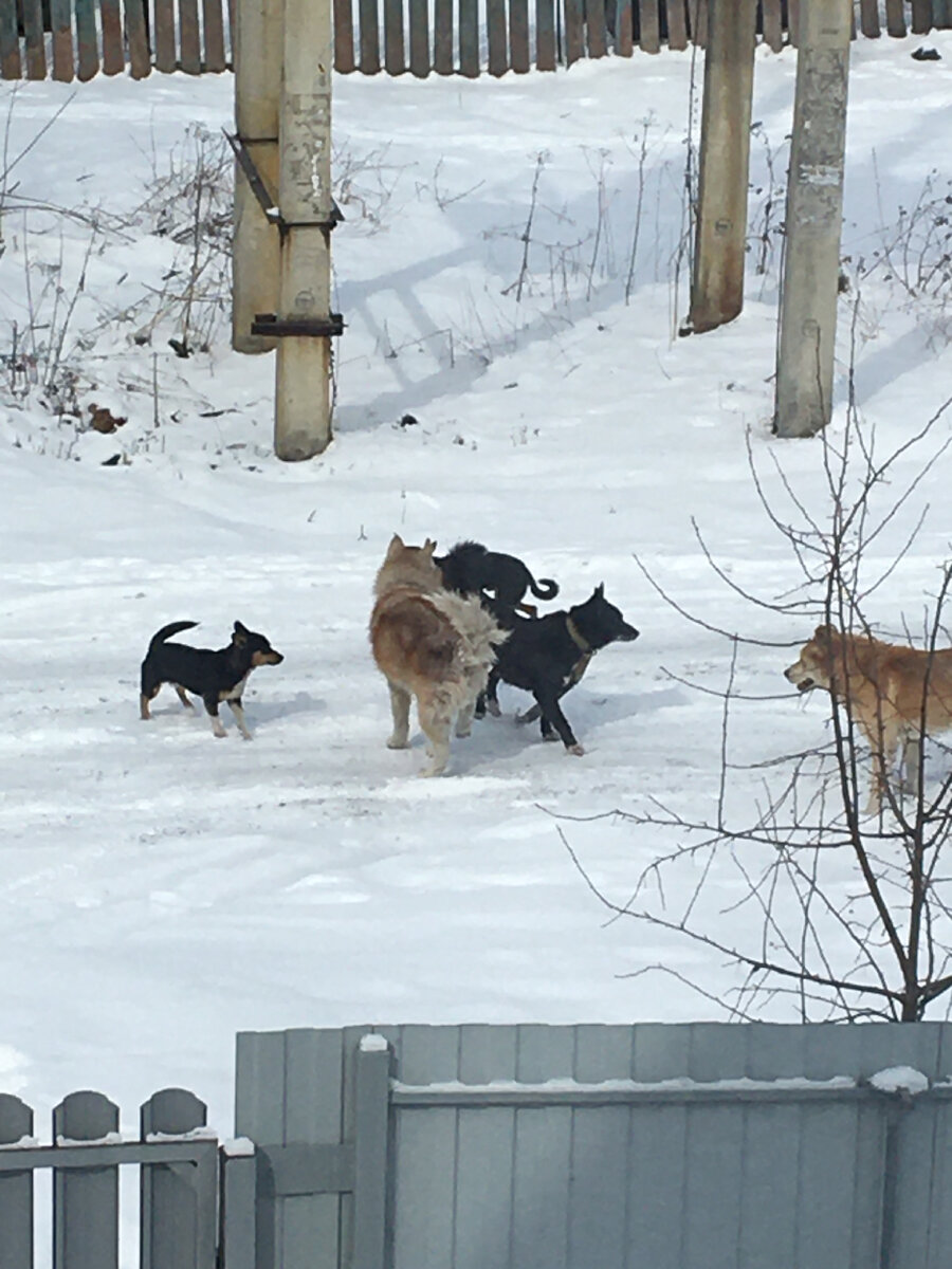 Фото автора.