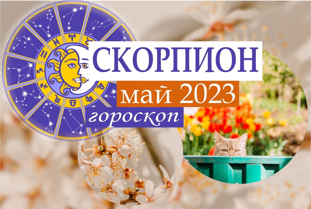 Скорпион. Отличный прогноз на май 2023 года | Гороскопы от Астролога | Дзен