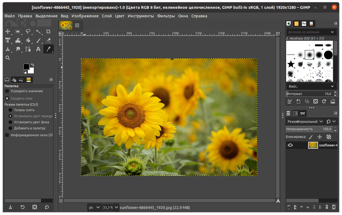 Графический редактор гимп. Пипетка в графическом редакторе. Gimp 2.10. Gimp картинки. Как добавить в гимпе