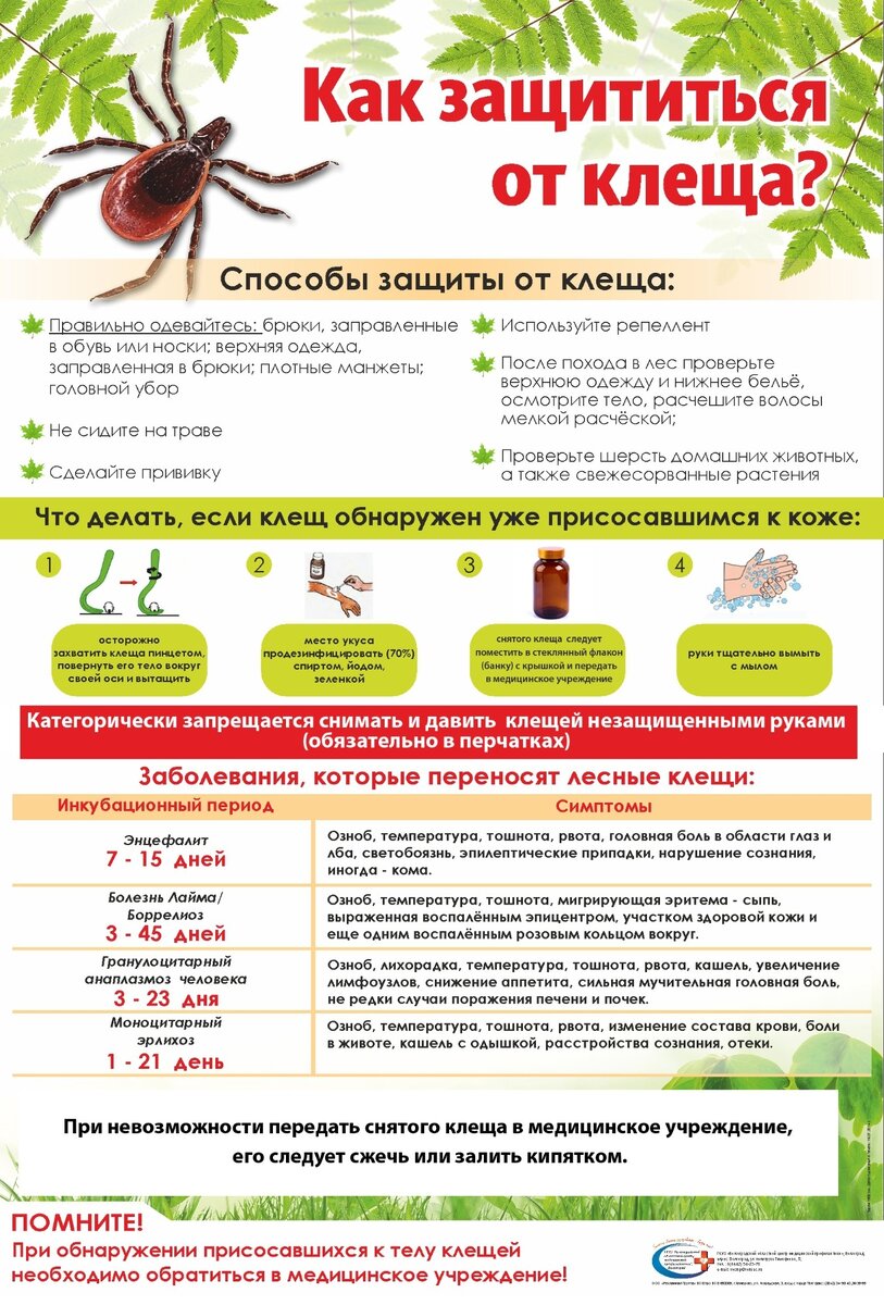 Памятка из открытого источника в интернете