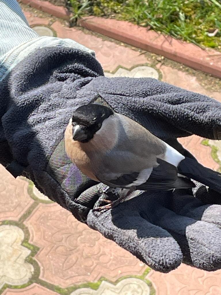 А мне и тут неплохо!