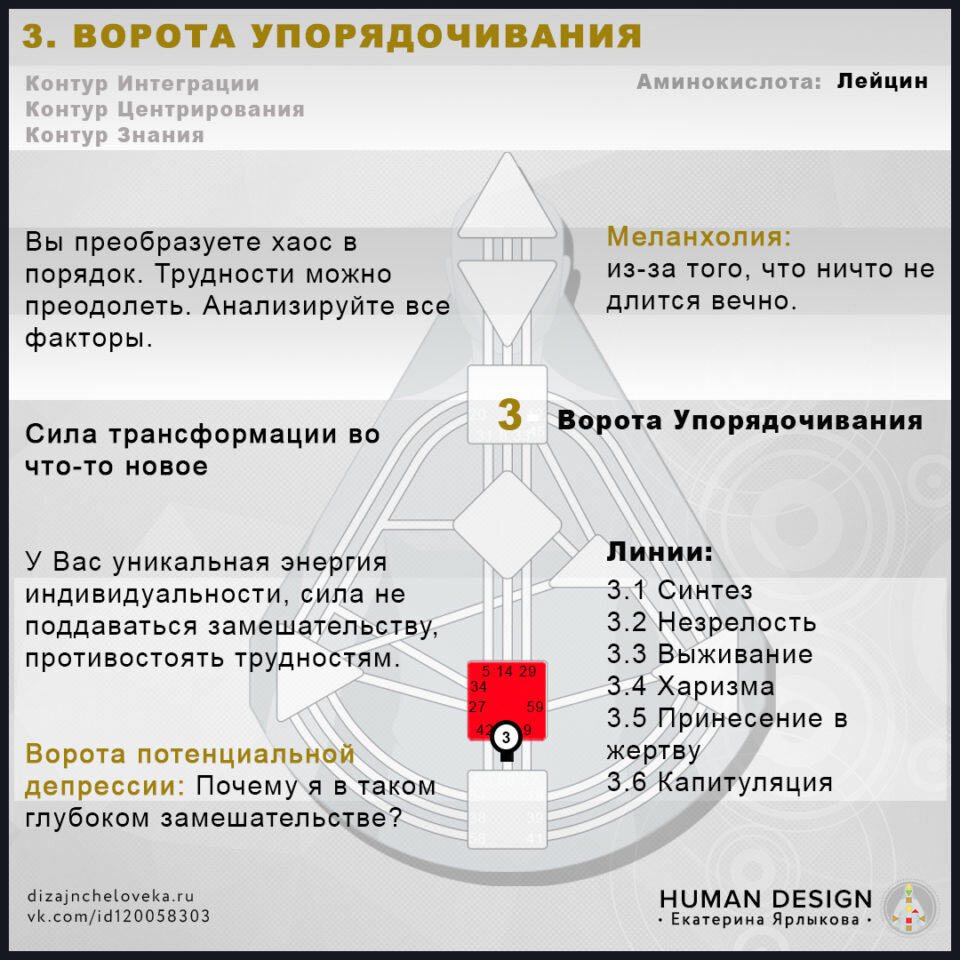 Дизайн человека