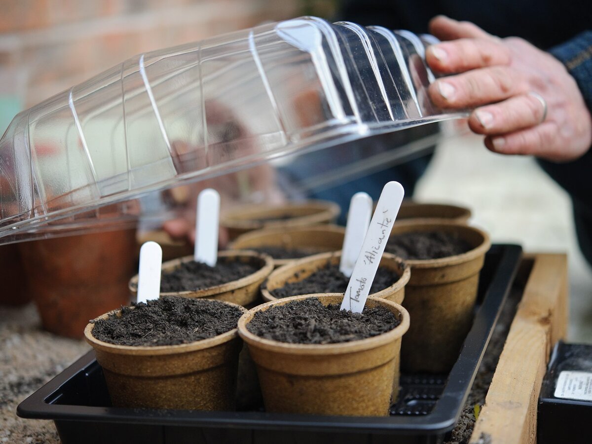 Фото: gardenersworld.com