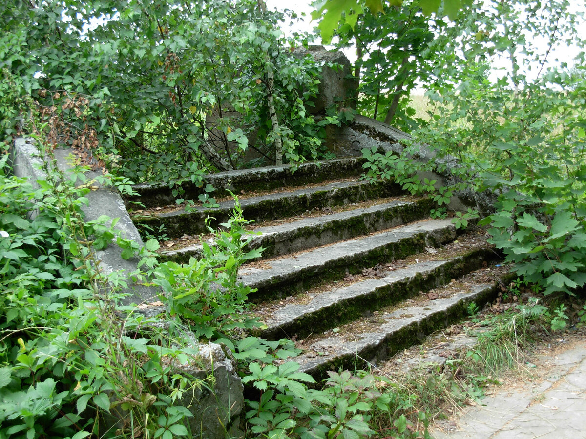 Все фотографии в статье мои