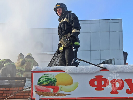     Фото: ГУ МЧС России по Томской области