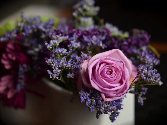     ФОТО: pxhere.com