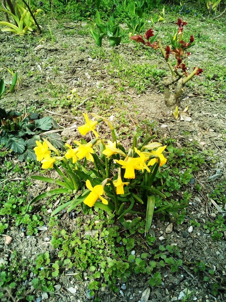 Цветы в марте. Фото автора канала