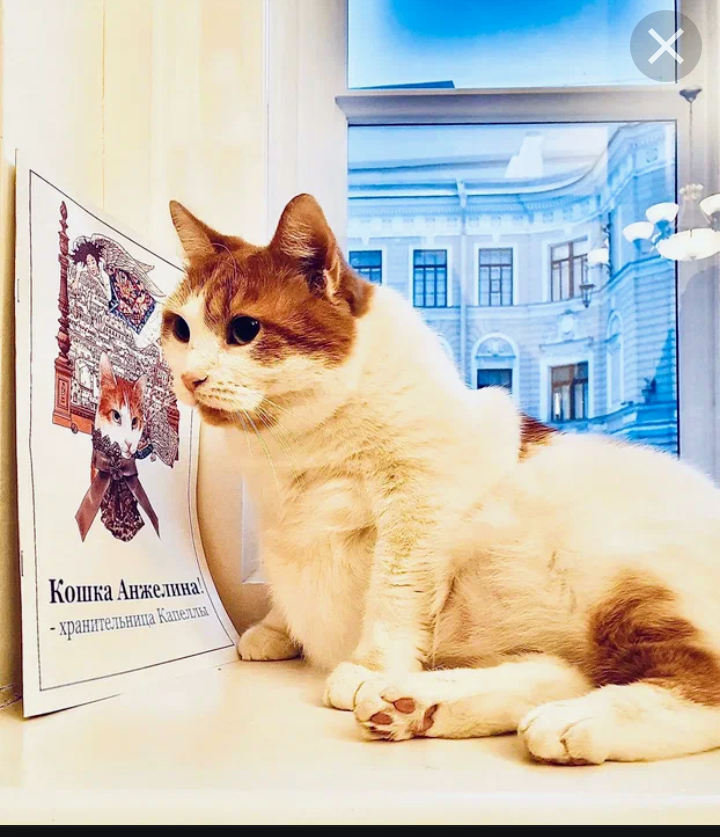 Картинка из интернета 