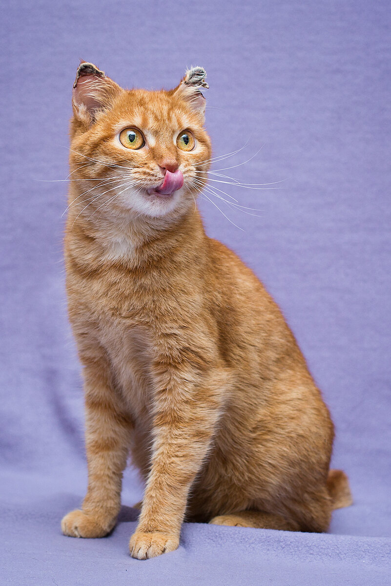 С той самой фотосессии