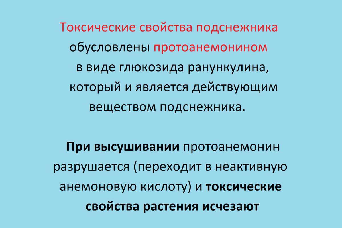 Информация взята из учебника Телятьева В.В. "Полезные растения Центральной Сибири"