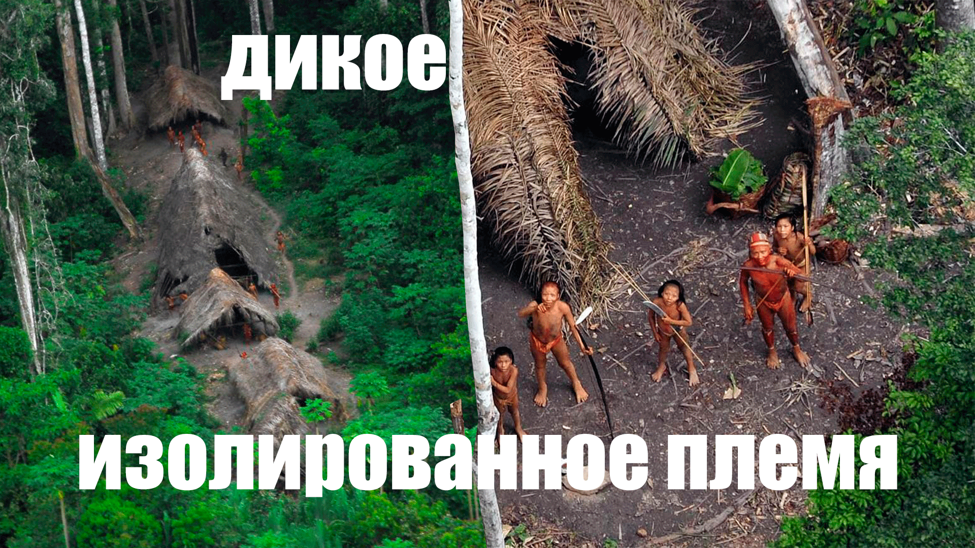 Превью сентинельцы