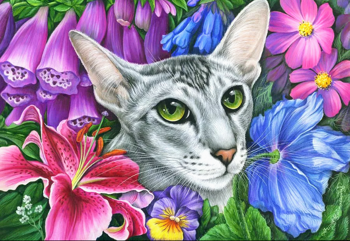 Картинка из интернета 