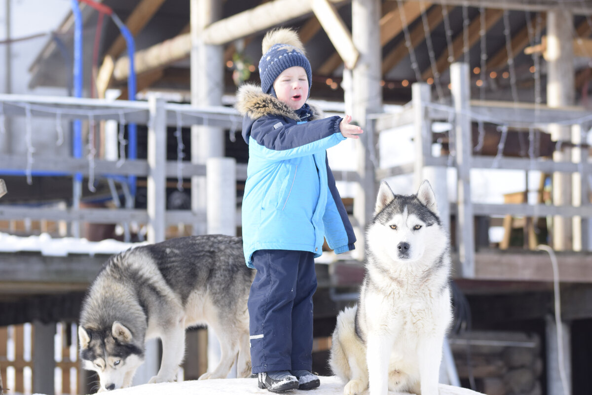 Да купите вторую собаку или оставьте кого ни будь дома! 