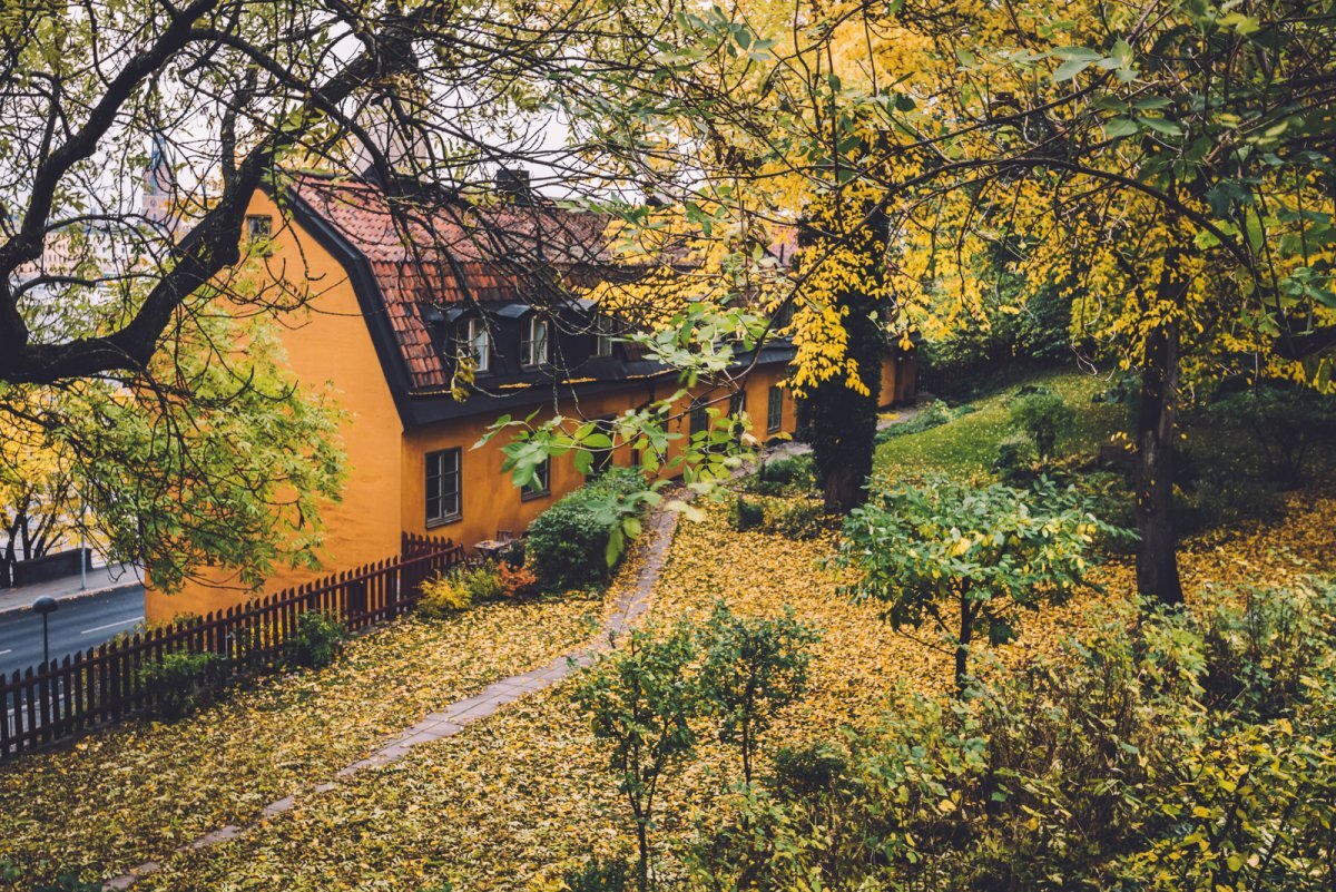 Осень. Фото из источника в свободном доступе.