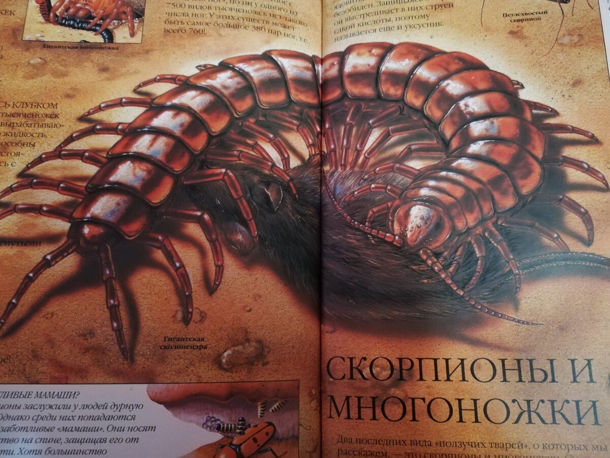 из личного архива