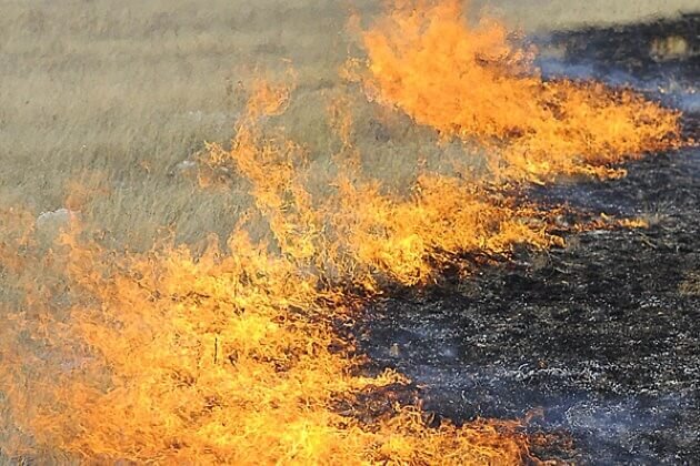    Фото из открытого источника