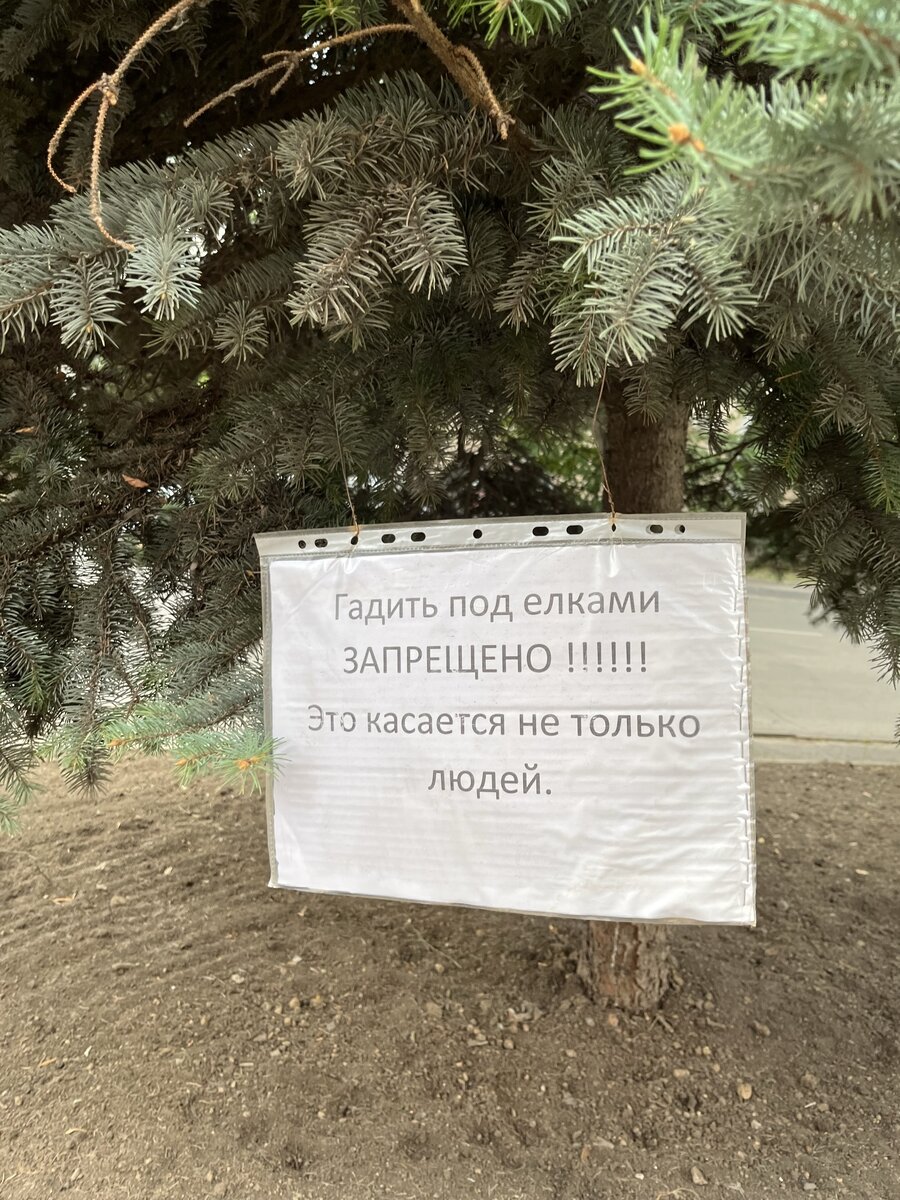 Город с красивой урной. Таганрог, Россия