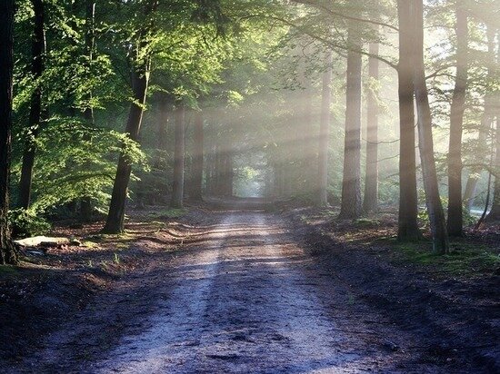     ФОТО: PIXABAY.COM