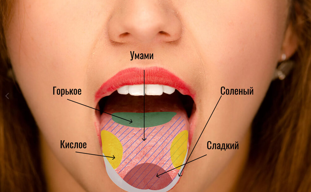 Вкус умами что это