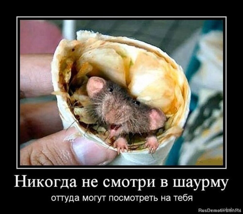 Яндекс.Картинки.