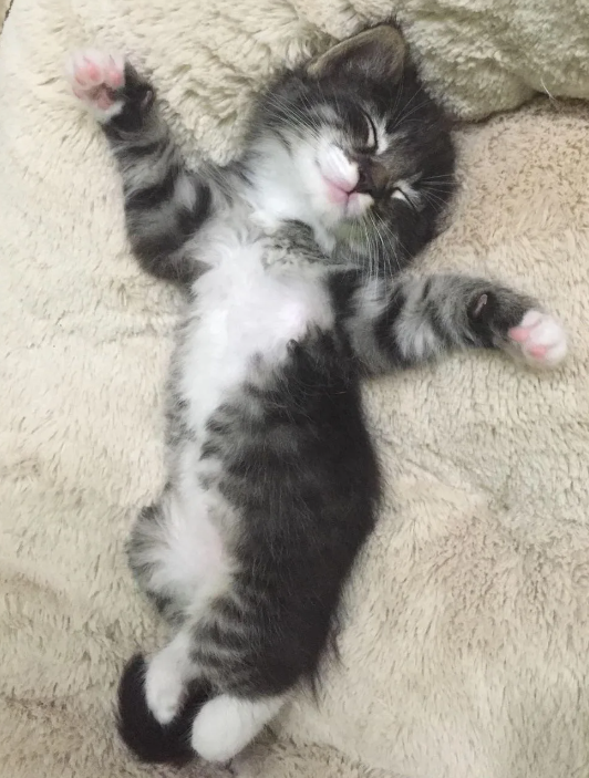 яндекс фото