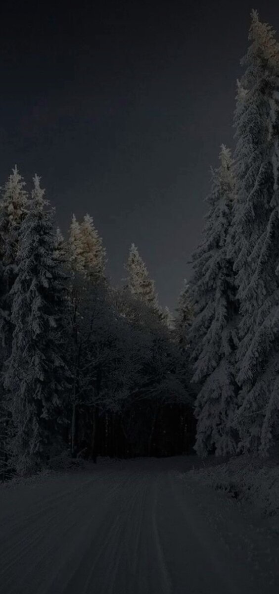 Свободная галерея