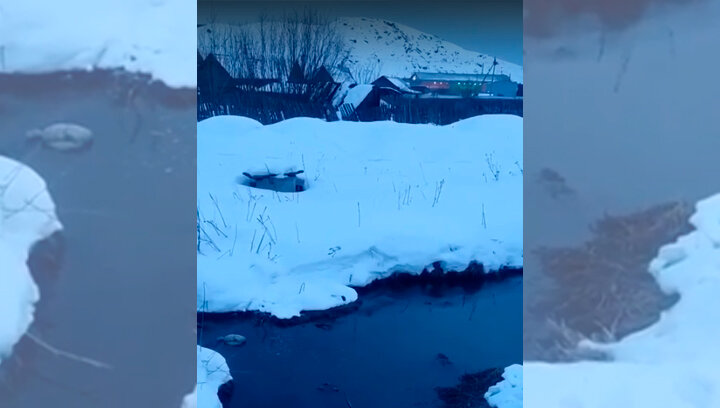 ФОТО: ГЕННАДИЙ МАЛАХОВ/ПРЕДОСТАВЛЕНО САЙТУ ЦАРЬГРАД.