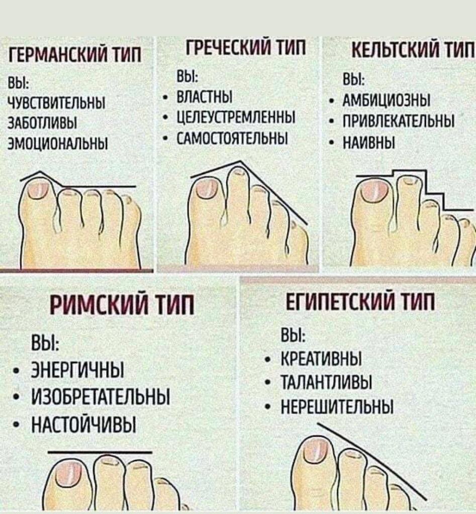 Какие-то фантазёры напридумывали их аж с десяток, при этом актуальных всего три.