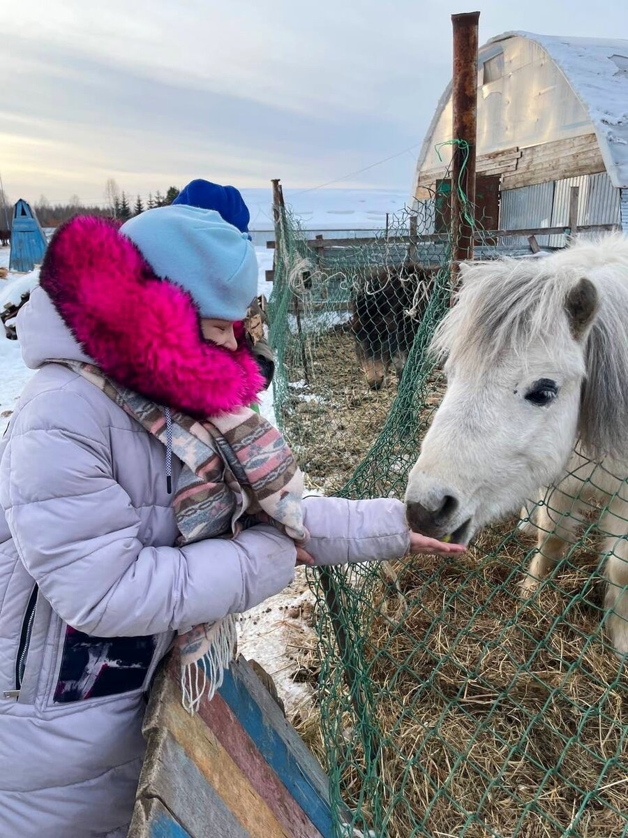 Как прогулка на лошади, игра на барабанах и детская площадка могут помочь  тяжелобольному ребёнку | Фонд «Дедморозим» | Дзен