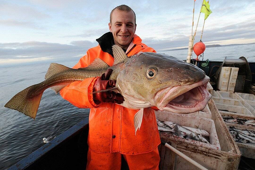Рыбаки с крупной рыбой