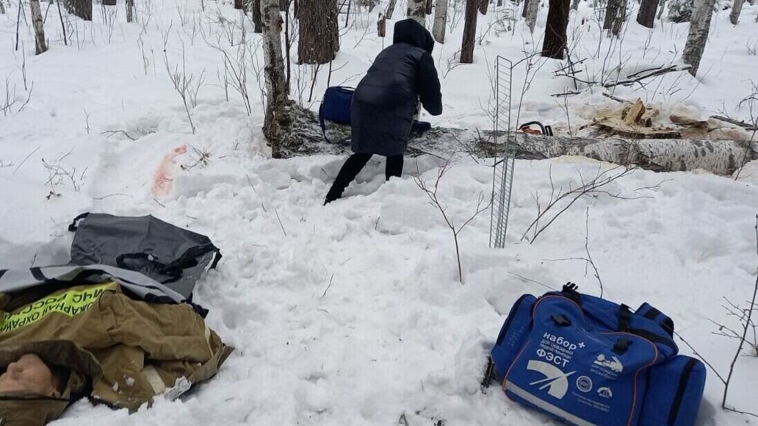     По данным пресс-службы МЧС в лесу Тюменской области дерево придавило человека. Инцидент произошел в деревне Леваши недалеко от Тюмени. Пострадавший вел работы по валке деревьев. Одно из них неудачно приземлилось на самого дровосека.