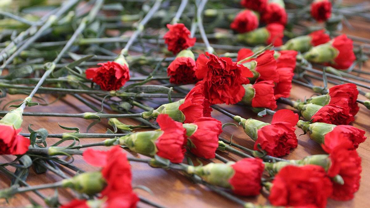    Фото: Пресс-служба Совфеда