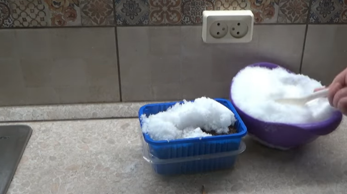 В качестве первого полива можно использовать снег