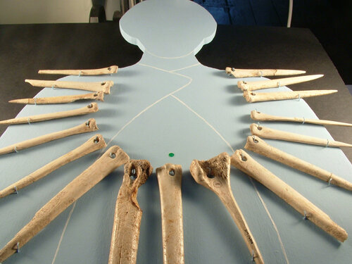 Ожерелье из костей. Уилтширский музей. 