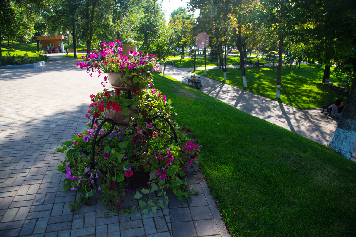 струковский парк в самаре