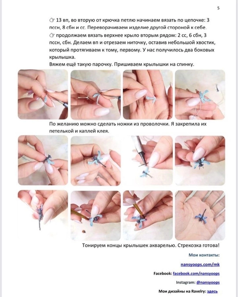 Тюльпан, фрукты, стрекоза, закладка цветок. Бесплатное описание ...