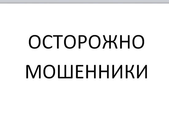     Жителей ЕАО предупредили о мошенниках, промышляющих за счет известного портала / Ольга Кива