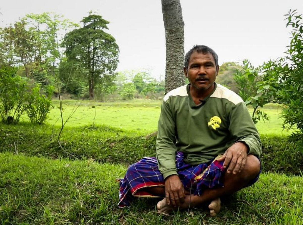 Человек посадивший лес. Джадав пайенг - человек, который вырастил лес⁠⁠. Высадка деревьев. Джадав пайенг лес. Сажать деревья.