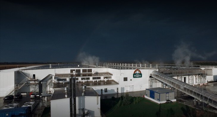    Время шампиньонов