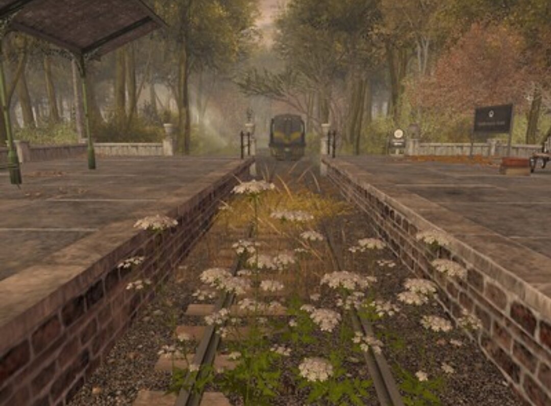 Личное фото автора (SL) 