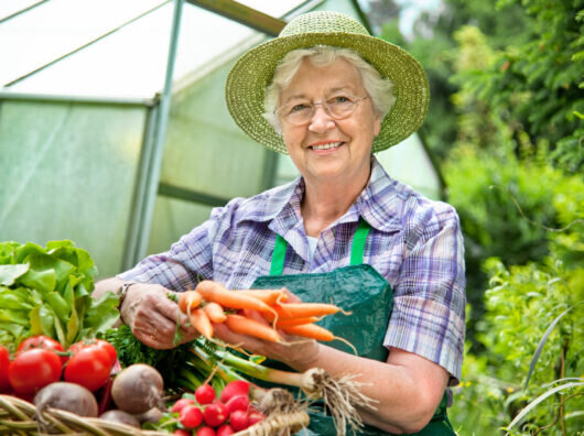    дачиница торгует овощами // фото: 1zoom.ru