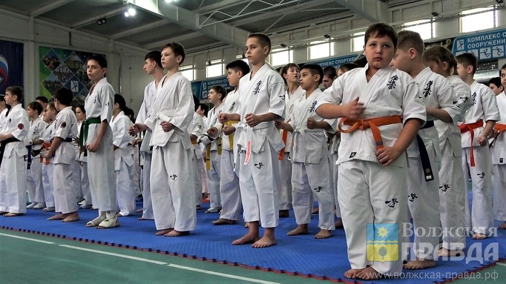 На соревнованиях выступили 379 спортсменов📷    В открытом первенстве области по киокушинкай в Волжском сражались более 350 каратистов
