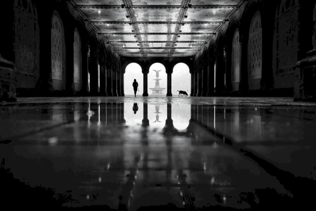    Фото: Phil Penman