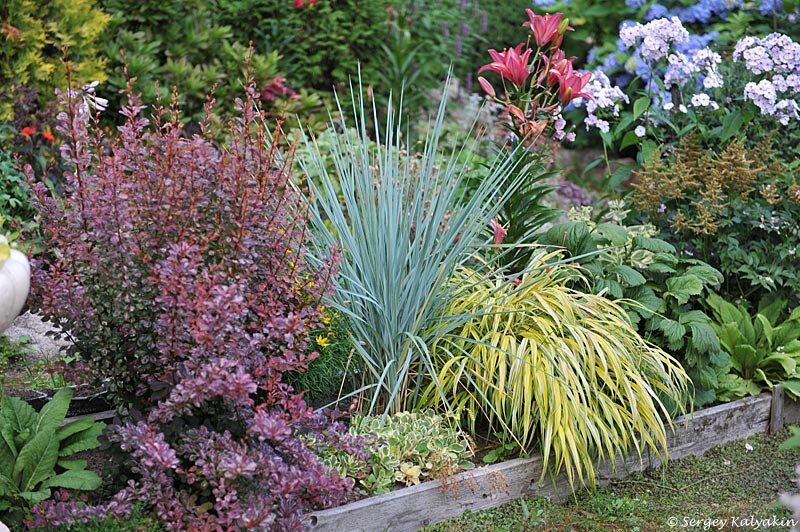 3 ����, ��������